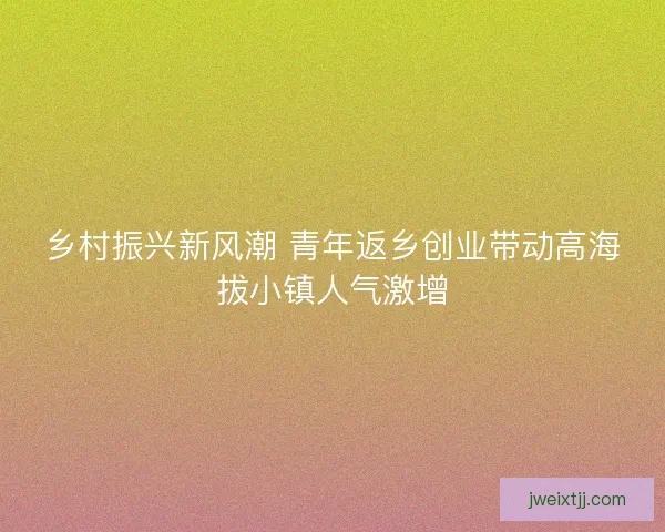 乡村振兴新风潮 青年返乡创业带动高海拔小镇人气激增