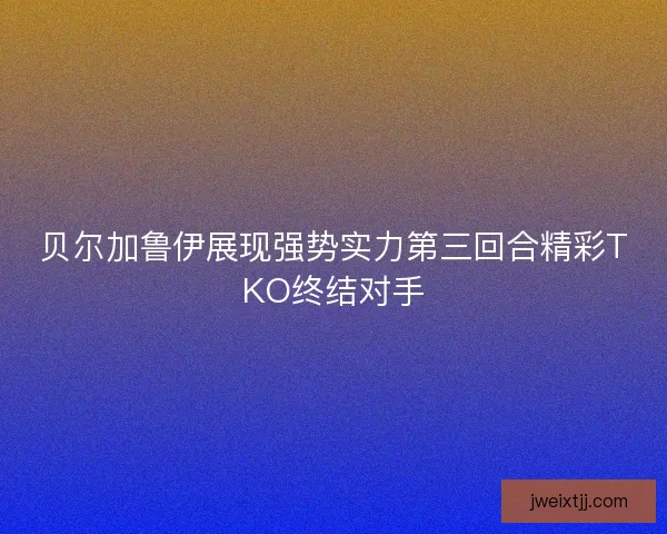 贝尔加鲁伊展现强势实力第三回合精彩TKO终结对手